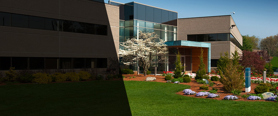 Ellsworth Landscapers