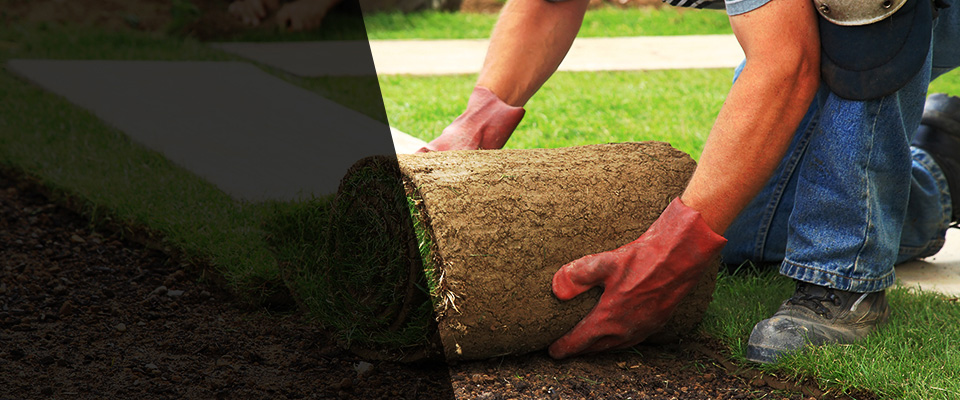 Ellsworth Landscapers